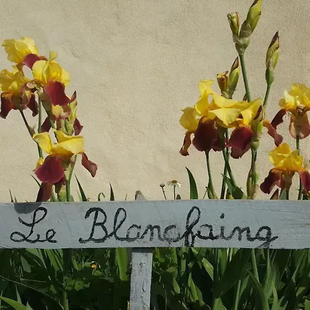 Elegant En Pleine Nature Avec Terrasse, Depart Randonnees, Parking Prive Et Equipements Inclus - Fr-1-589-384 Le Tholy