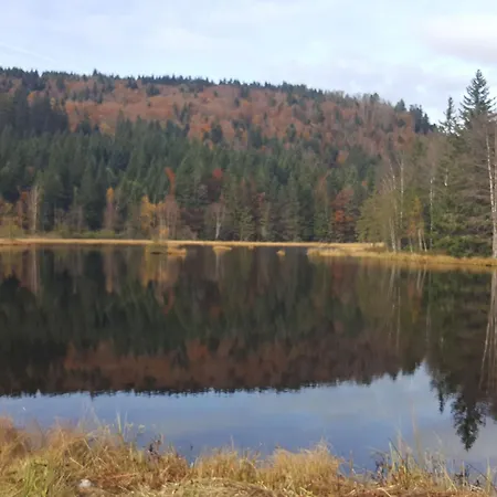 Elegant En Pleine Nature Avec Terrasse, Depart Randonnees, Parking Prive Et Equipements Inclus - Fr-1-589-384 Apartmán