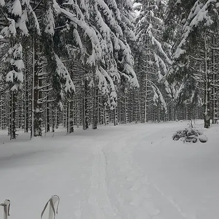 Elegant En Pleine Nature Avec Terrasse, Depart Randonnees, Parking Prive Et Equipements Inclus - Fr-1-589-384 Apartmán Le Tholy