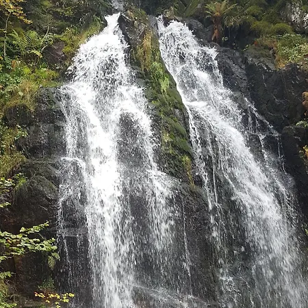 Elegant En Pleine Nature Avec Terrasse, Depart Randonnees, Parking Prive Et Equipements Inclus - Fr-1-589-384 Apartman Le Tholy