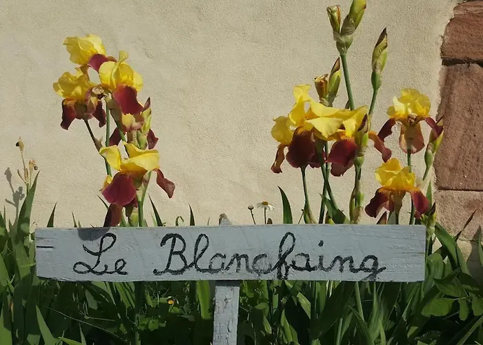 Elegant En Pleine Nature Avec Terrasse, Depart Randonnees, Parking Prive Et Equipements Inclus - Fr-1-589-384 勒索里