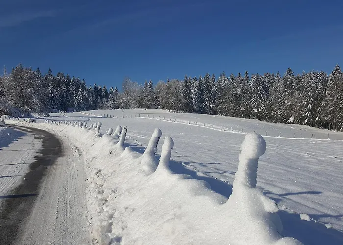 Elegant En Pleine Nature Avec Terrasse, Depart Randonnees, Parking Prive Et Equipements Inclus - Fr-1-589-384 公寓 *