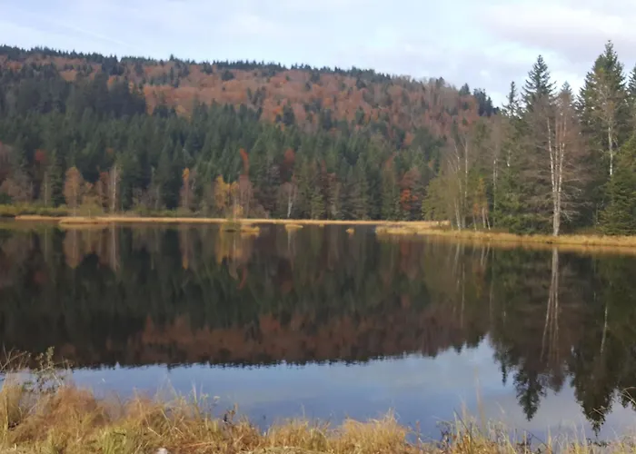 Elegant En Pleine Nature Avec Terrasse, Depart Randonnees, Parking Prive Et Equipements Inclus - Fr-1-589-384 公寓