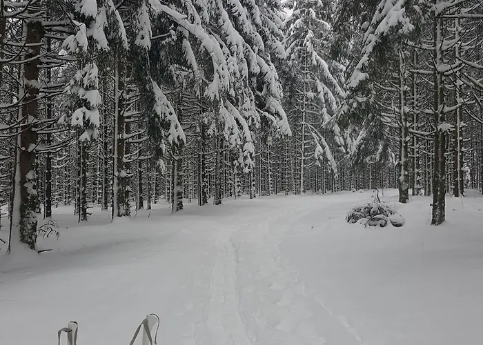 Elegant En Pleine Nature Avec Terrasse, Depart Randonnees, Parking Prive Et Equipements Inclus - Fr-1-589-384 公寓 勒索里