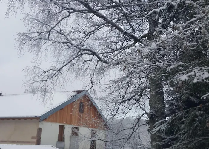 Elegant En Pleine Nature Avec Terrasse, Depart Randonnees, Parking Prive Et Equipements Inclus - Fr-1-589-384 *